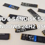 WD & SANDISK SSD WINDOWS 24H2 BSOD