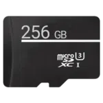 Micro SD Card 256GB