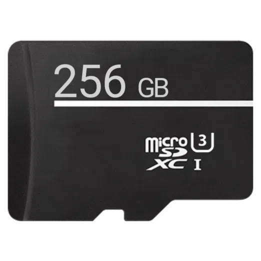 Micro SD Card 256GB