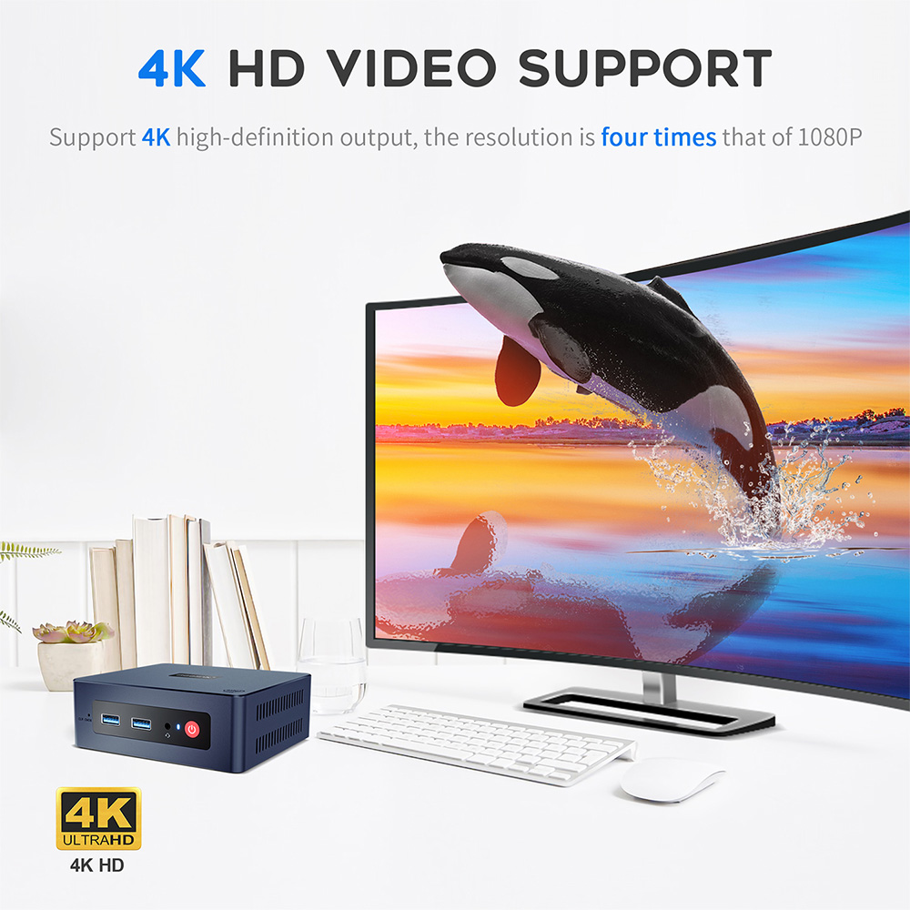 Beelink Mini S 4K Video-Unterstützung