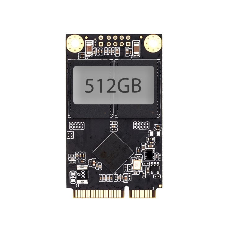 SCY 512GB High-Speed mSATA Solid State Drive for Laptop and PC