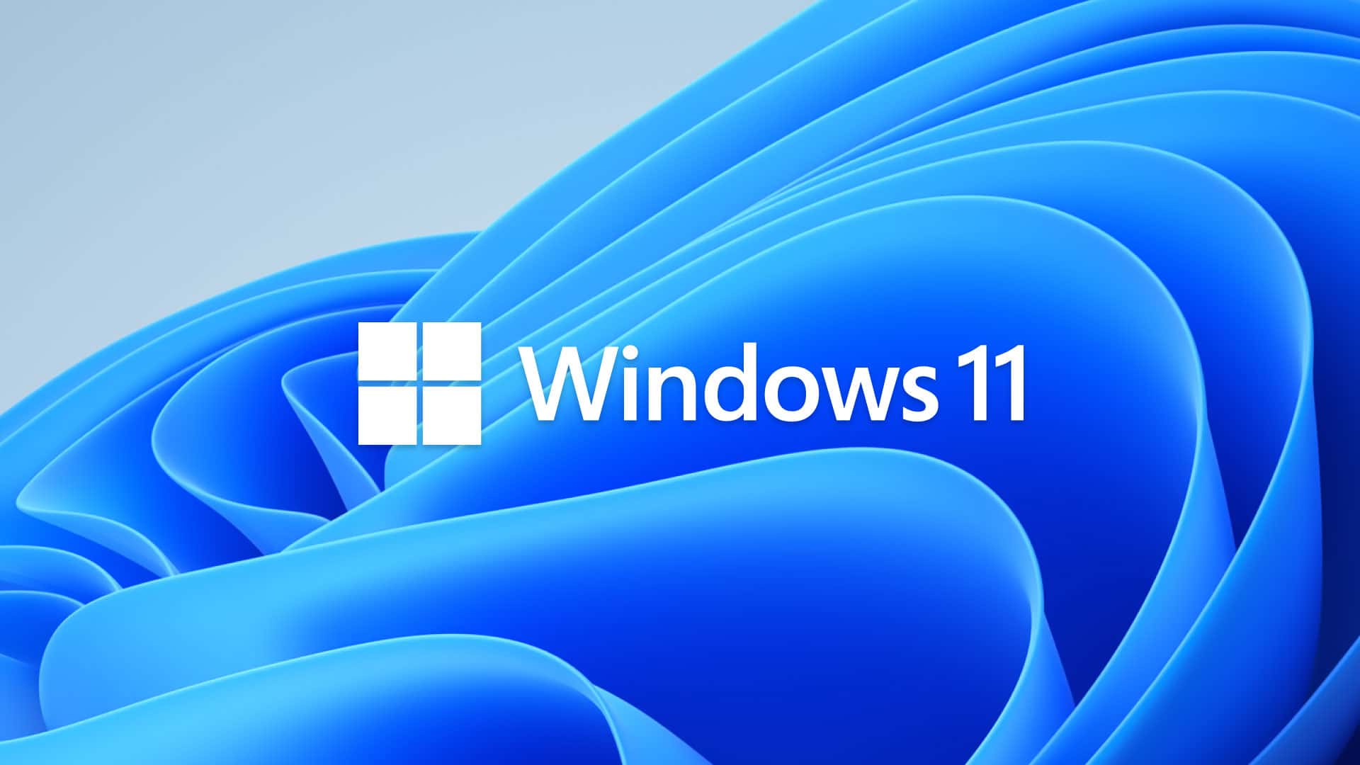 windows 11 cat image